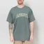 Carhartt WIP Monogram T Shirt Velvet Green