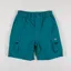 Dickies Jackson Cargo Shorts Deep Lake 