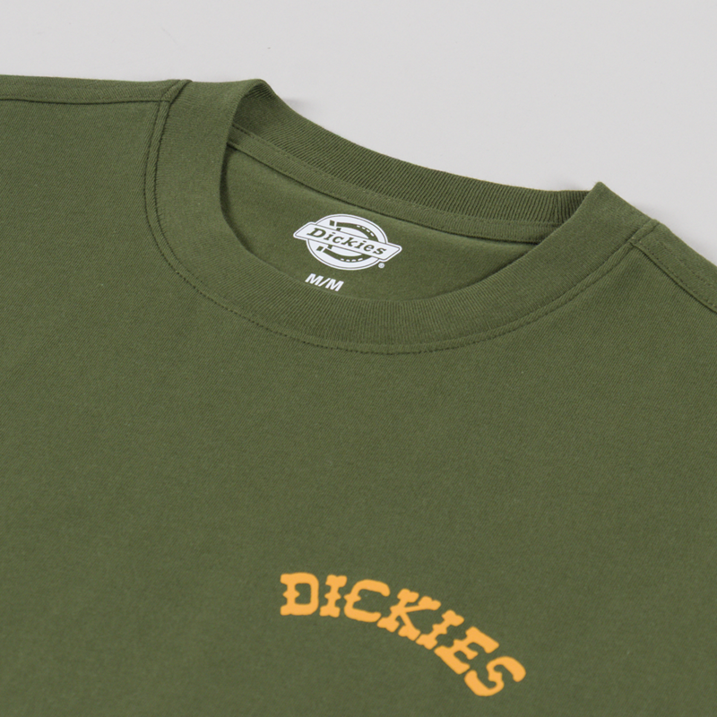 Dickies Bettsville T Shirt Cypress-5