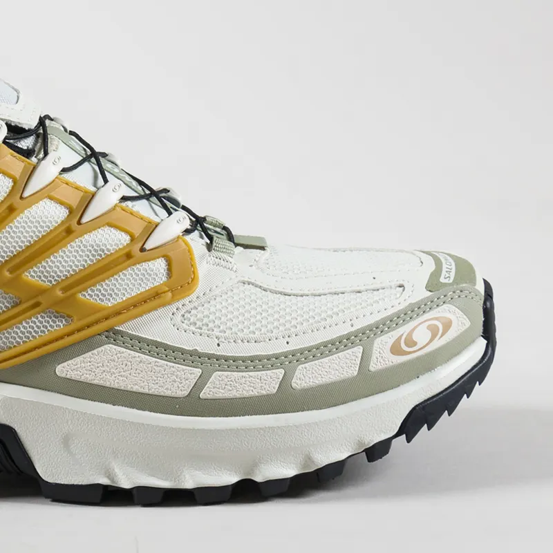 Salomon ACS Pro GORE-TEX Shoes Icicle Antelope Tea-5