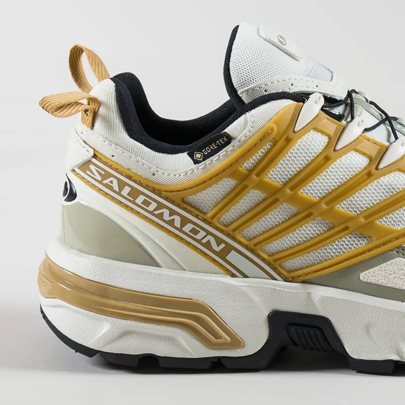 Salomon ACS Pro GORE-TEX Shoes Icicle Antelope Tea-4