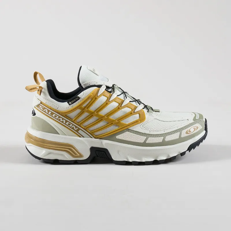 Salomon ACS Pro GORE-TEX Shoes Icicle Antelope Tea-2