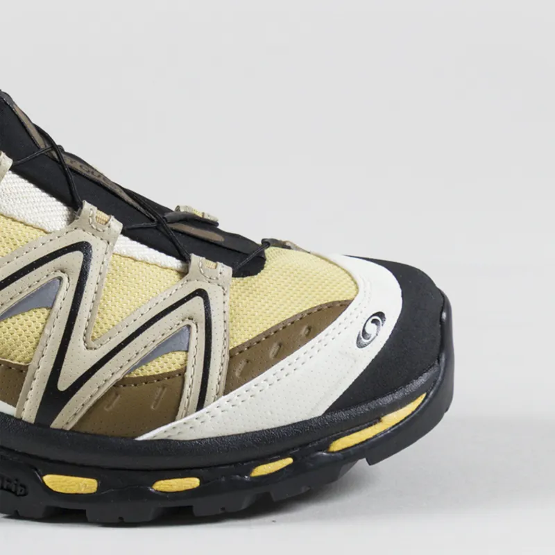 Salomon XT-QUEST GORE-TEX Shoes Sahara Sun White Pepper Beach Ball-5