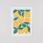 Evermade Lemons Art Print by Liv Lee A3