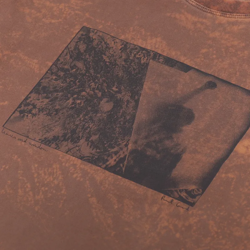 Polar Skate Co. Leaves And Window Long Sleeve T Shirt Rust-5