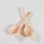 Maegen Salad Servers Coral
