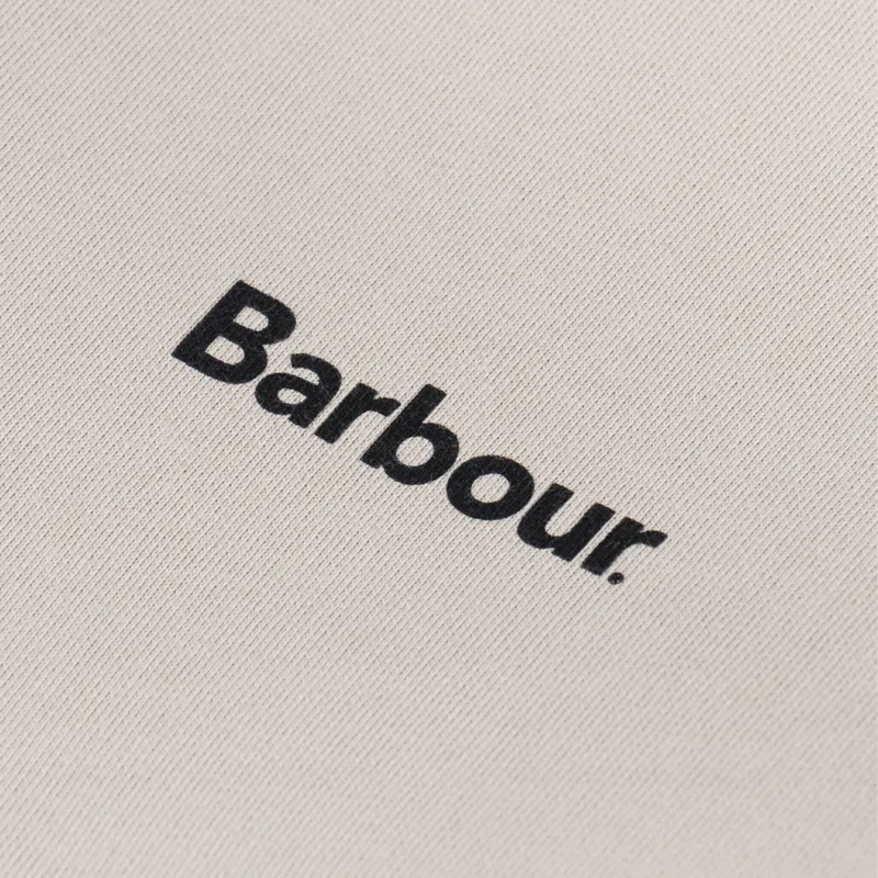 Barbour Nicholas Oversized Crewneck Jumper Mist-5