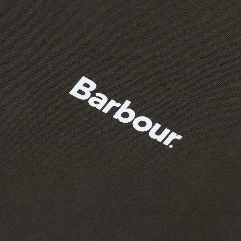 Barbour Nicholas Oversized Crewneck Jumper Sage-4