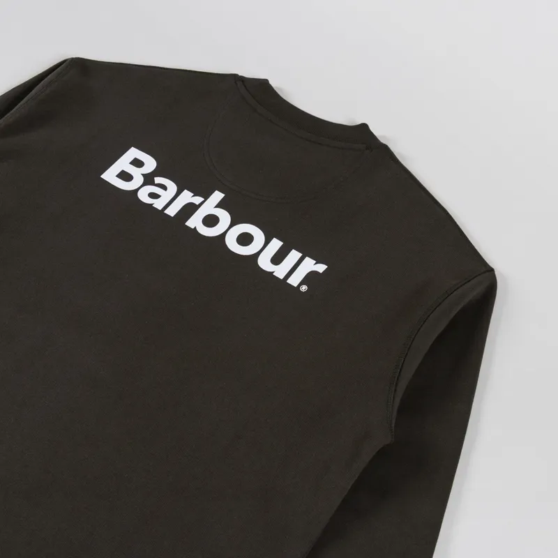 Barbour Nicholas Oversized Crewneck Jumper Sage-2