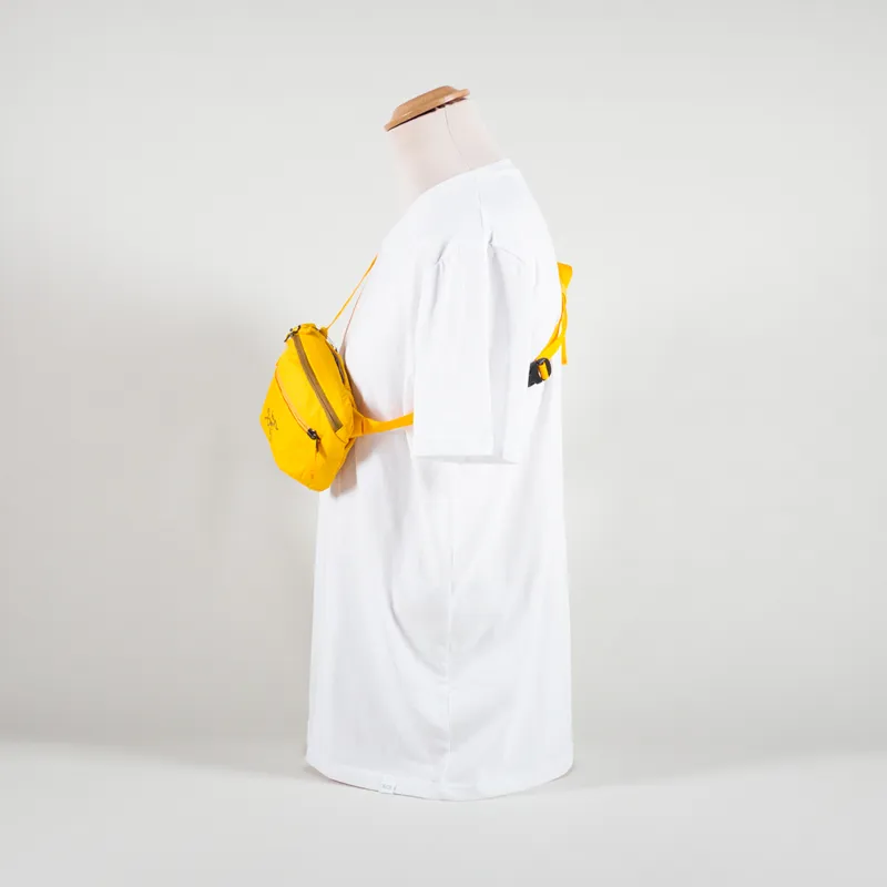 Arc'teryx Mantis 1L Waistpack Edziza-2