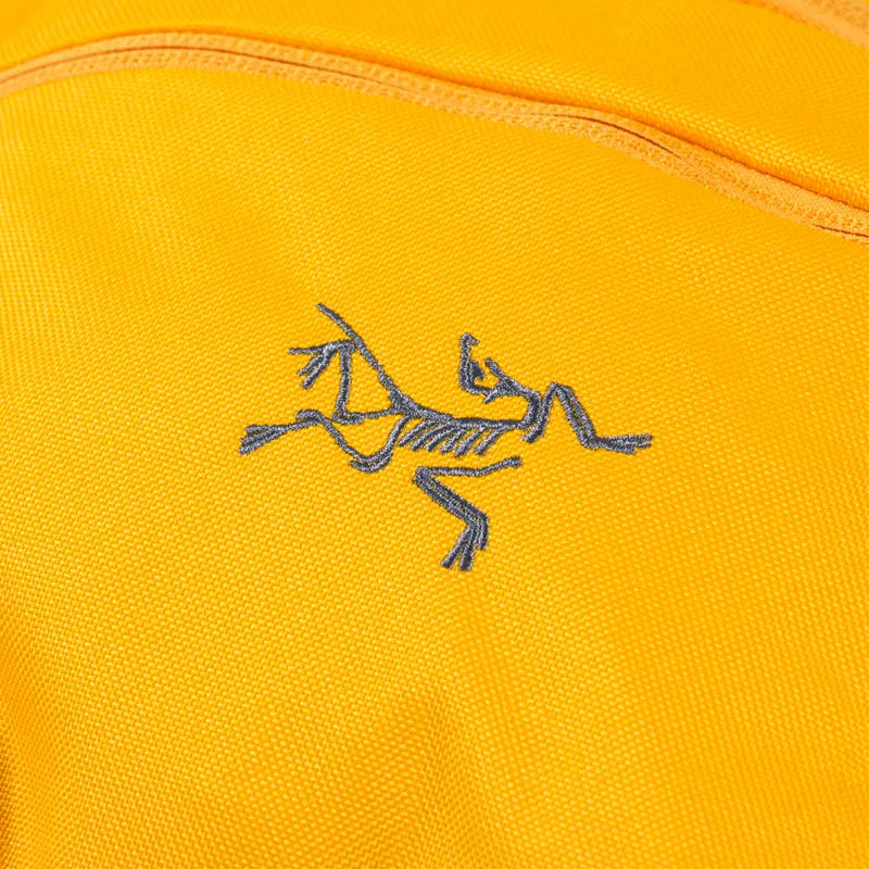 Arc'teryx Mantis 2 Waistpack Edziza-7