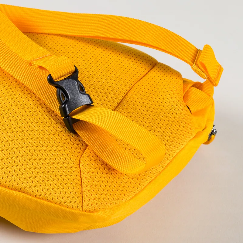 Arc'teryx Mantis 2 Waistpack Edziza-6