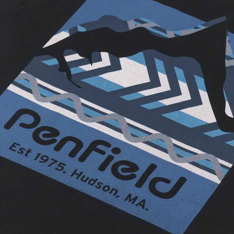 Penfield Mountain Filled Back Graphic T Shirt Black-4