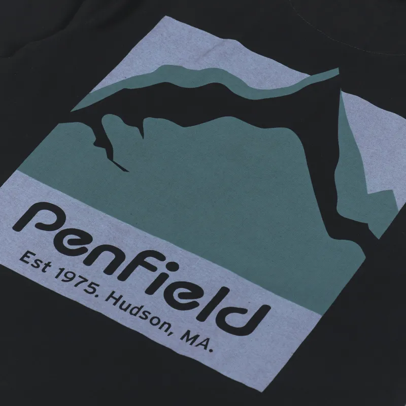 Penfield Mountain Scene Back Graphic T Shirt Black-4