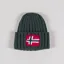 Napapijri Semiury Beanie Green Urban