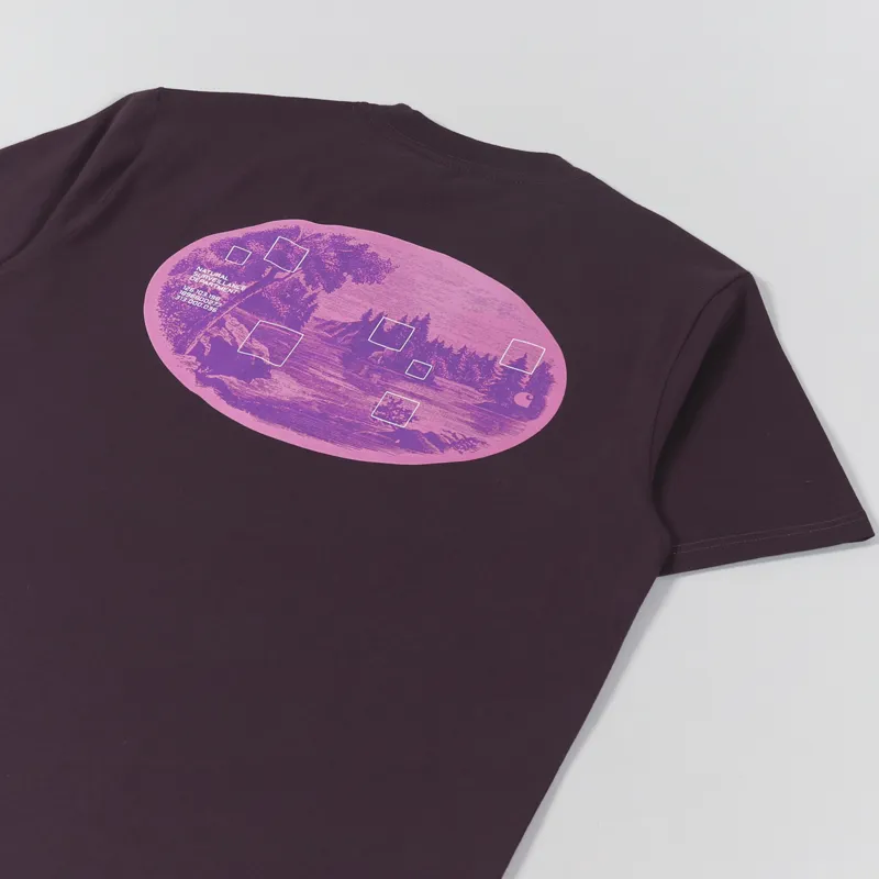Carhartt WIP Natural Surveillance T Shirt Dark Plum-2