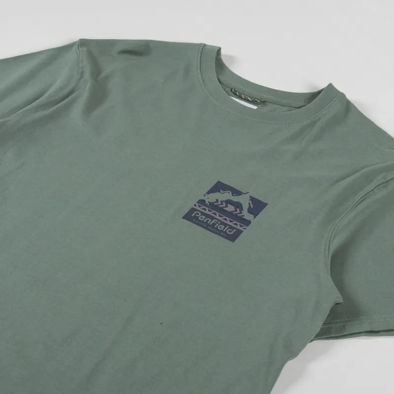 Penfield Mountain Filled Back Graphic T Shirt Laurel Wreath-3