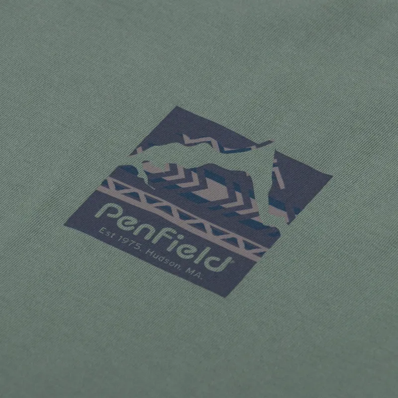Penfield Mountain Filled Back Graphic T Shirt Laurel Wreath-5