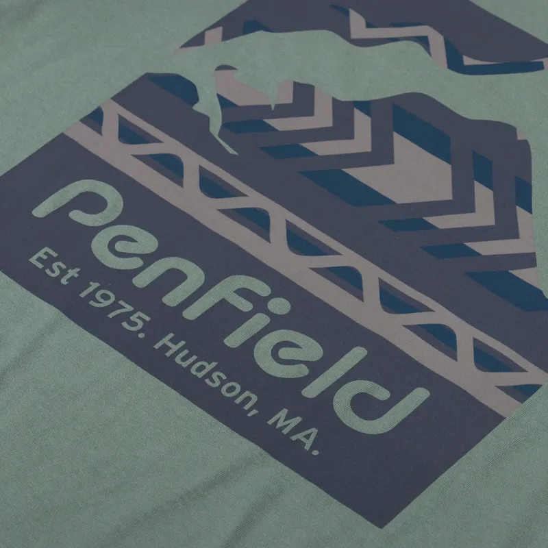 Penfield Mountain Filled Back Graphic T Shirt Laurel Wreath-4