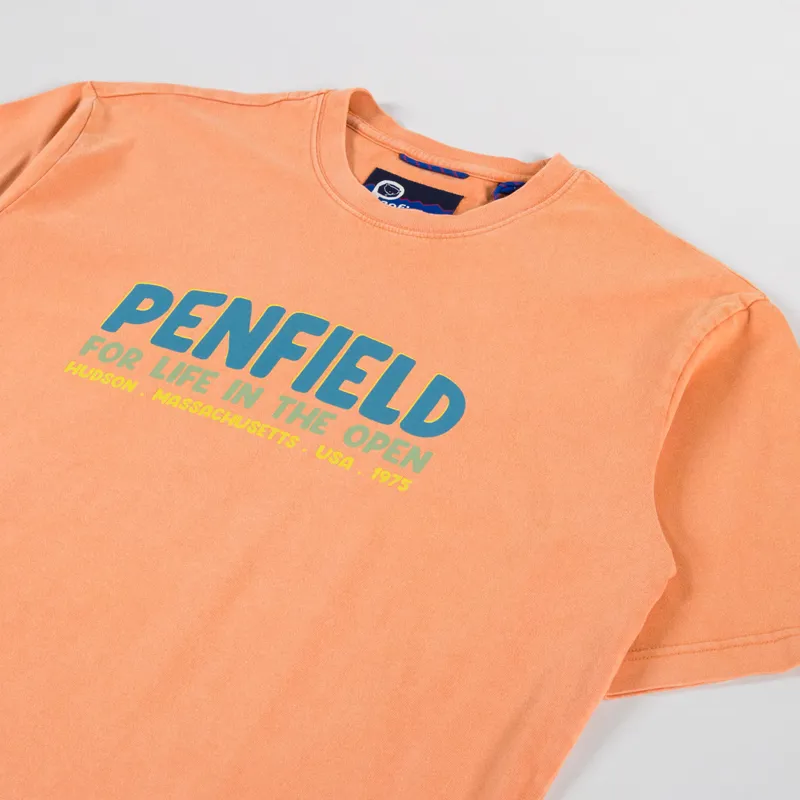 Penfield Retro Print T Shirt Golden Ochre-1