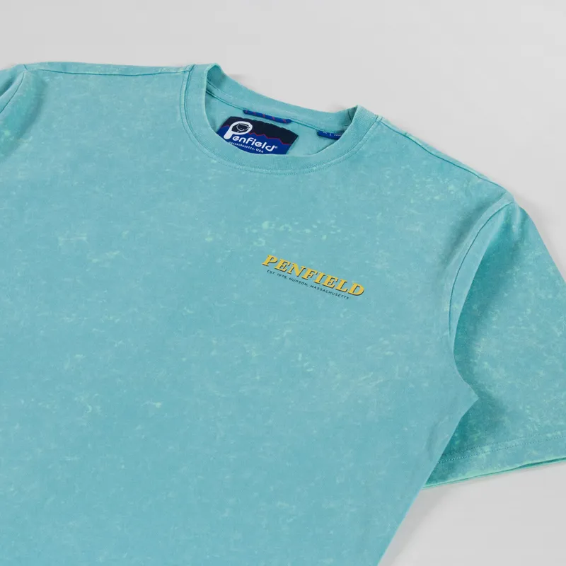 Penfield Whale Scene T Shirt Dusty Turquoise-3