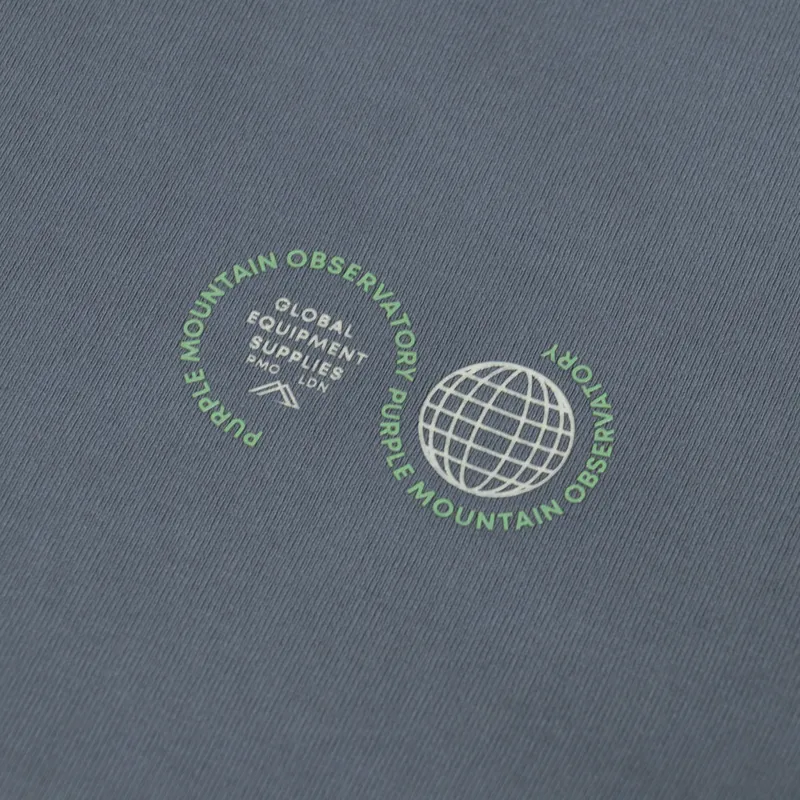 Purple Mountain Observatory Globe Logo Long Sleeve T Shirt Stormy-4