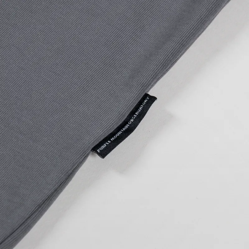 Purple Mountain Observatory Globe Logo T Shirt Grey-2