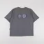 Purple Mountain Observatory Globe Logo T Shirt Grey