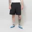 Purple Mountain Observatory Track Short Black