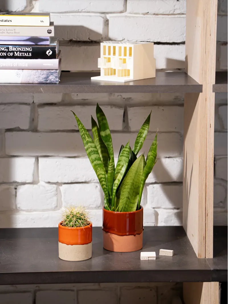Yod and Co Drip Ceramic Planter Medium Rich Green-3