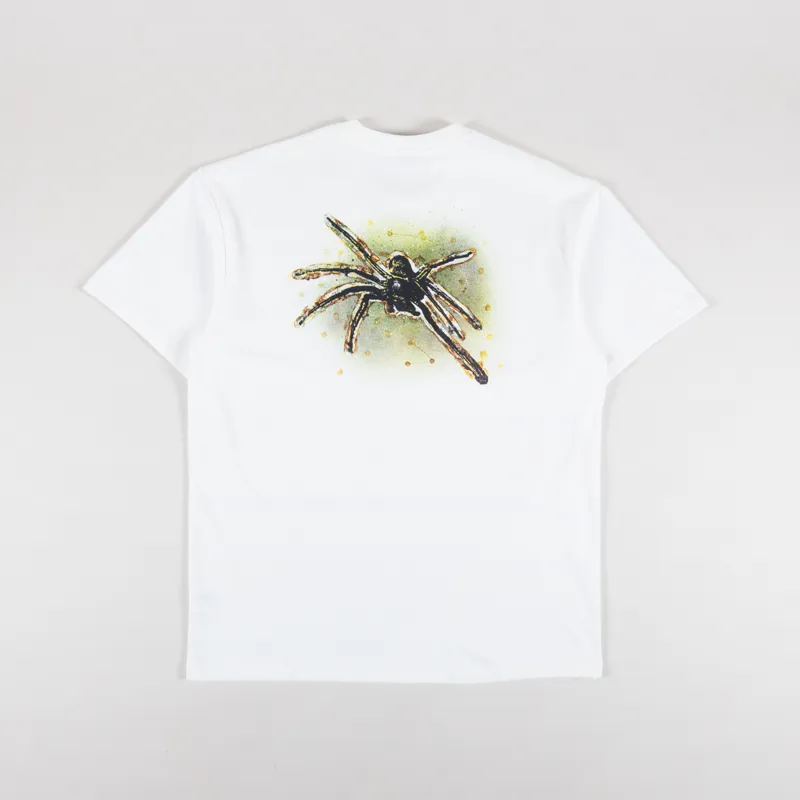 Polar Skate Co. Mens Graphic Printed Green Spider T Shirt White