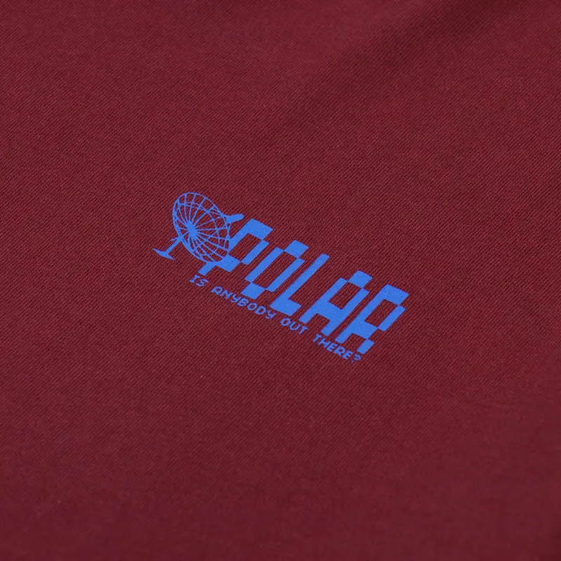 Polar Skate Co. Anyone Out There T Shirt Wine-5