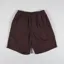 Polar Skate Co. Surf Shorts Chocolate