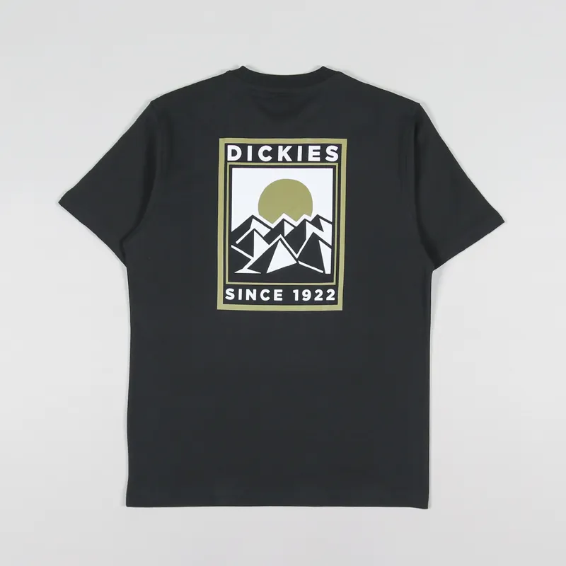 Dickies Mens Short Sleeve Pacific Graphic Logo T Shirt Black
