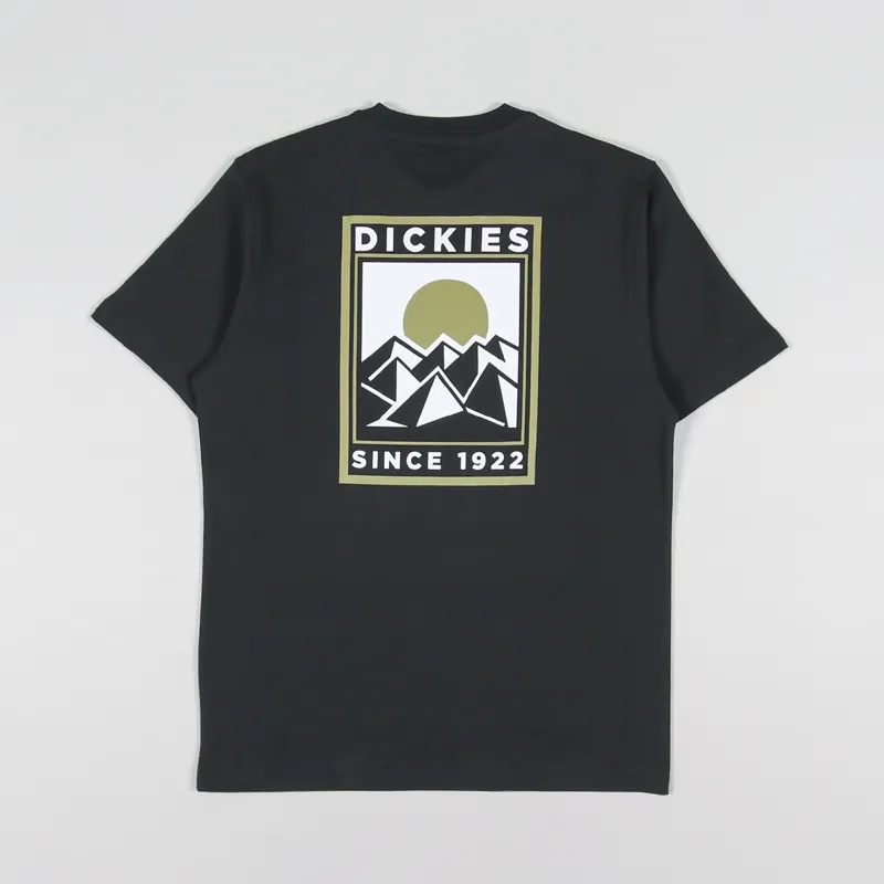 Dickies Pacific T Shirt Black