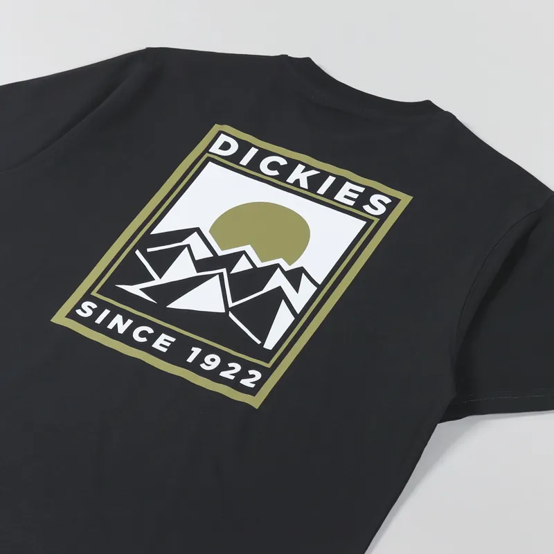 Dickies Pacific T Shirt Black-2