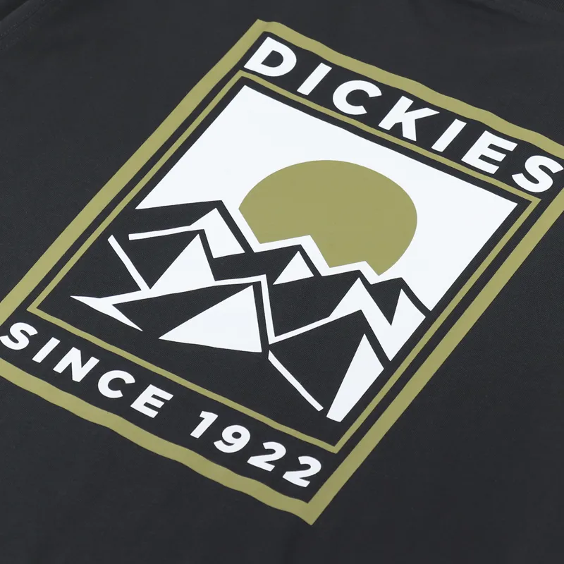 Dickies Pacific T Shirt Black-4