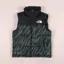 The North Face 1996 Retro Nuptse Insulated Down Vest Balsam Green Wooden Tiger Print