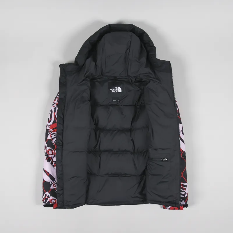 The North Face Printed Himalayan Down Parka Lavender Fog Cole Navin Halfdome Print-1