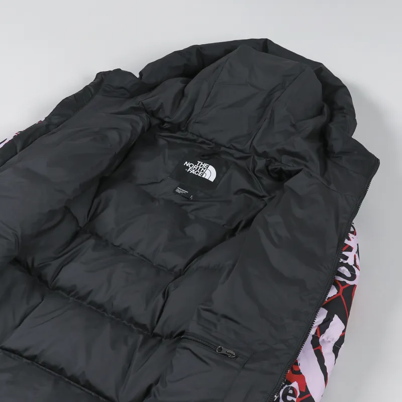 The North Face Printed Himalayan Down Parka Lavender Fog Cole Navin Halfdome Print-4