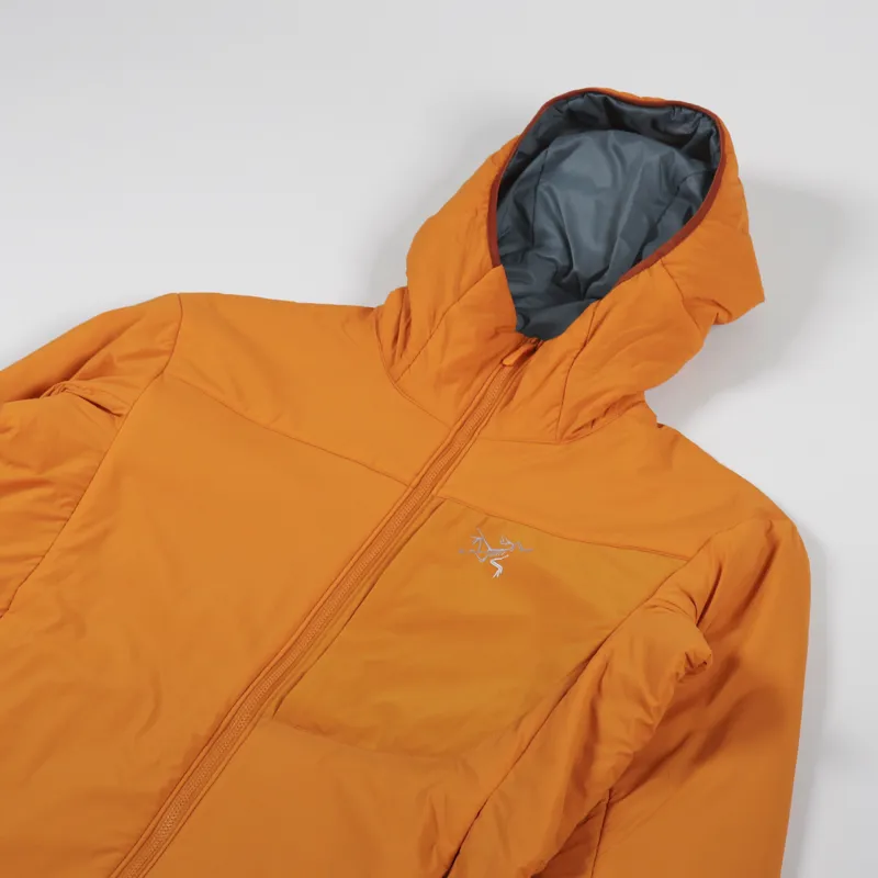 Arc'teryx Proton LT Insulated Down Hoody Wildchild-3