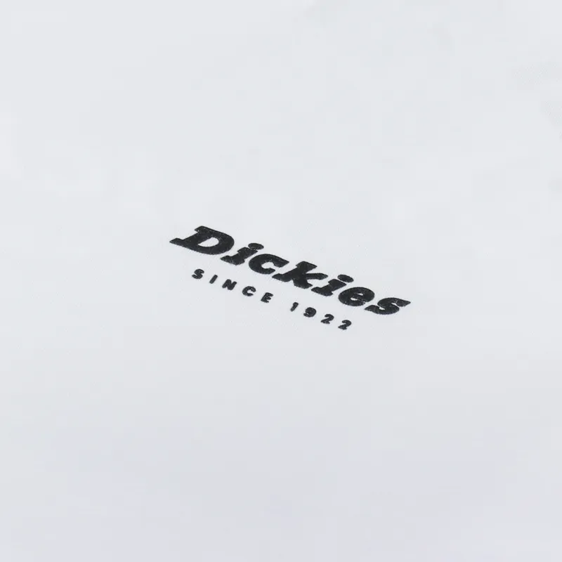 Dickies Reworked T Shirt White-5
