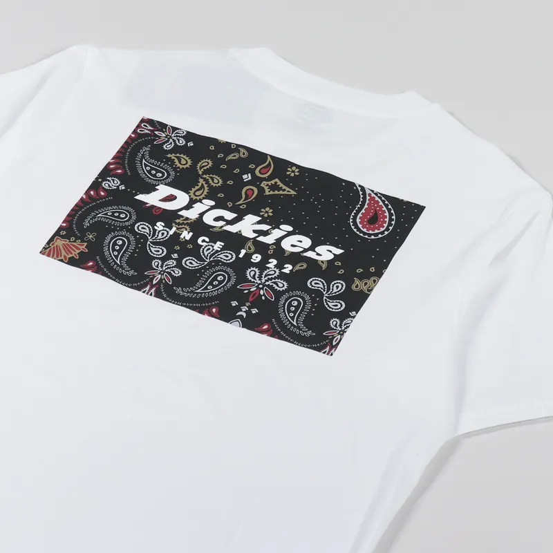 Dickies Reworked T Shirt White-2