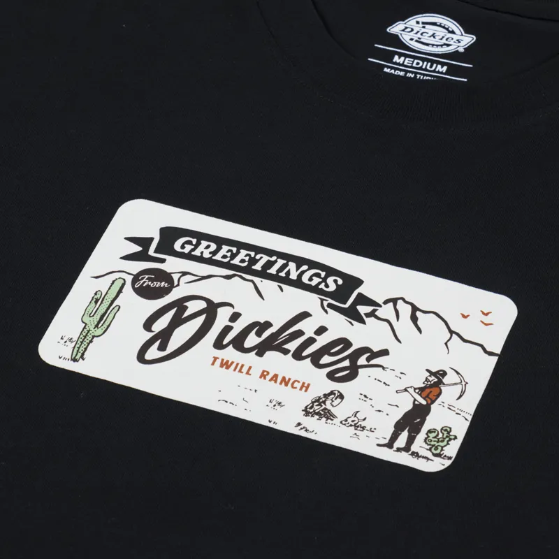 Dickies Rossville T Shirt Black-2