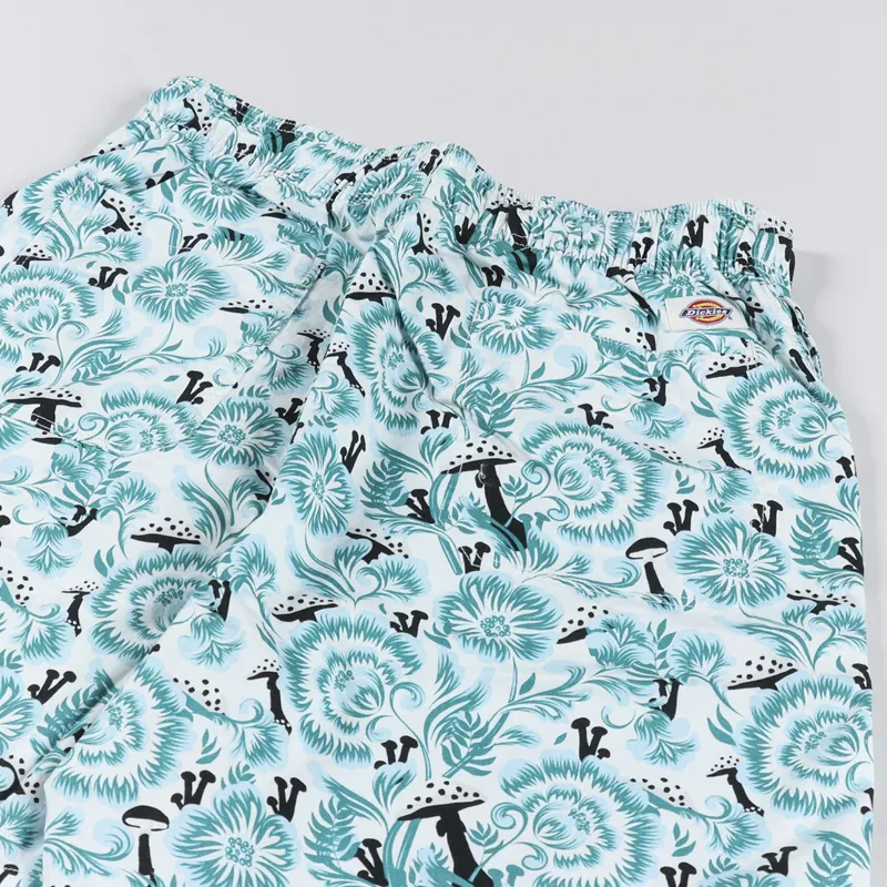 Dickies Roseburg Shorts Cloud Floral-5