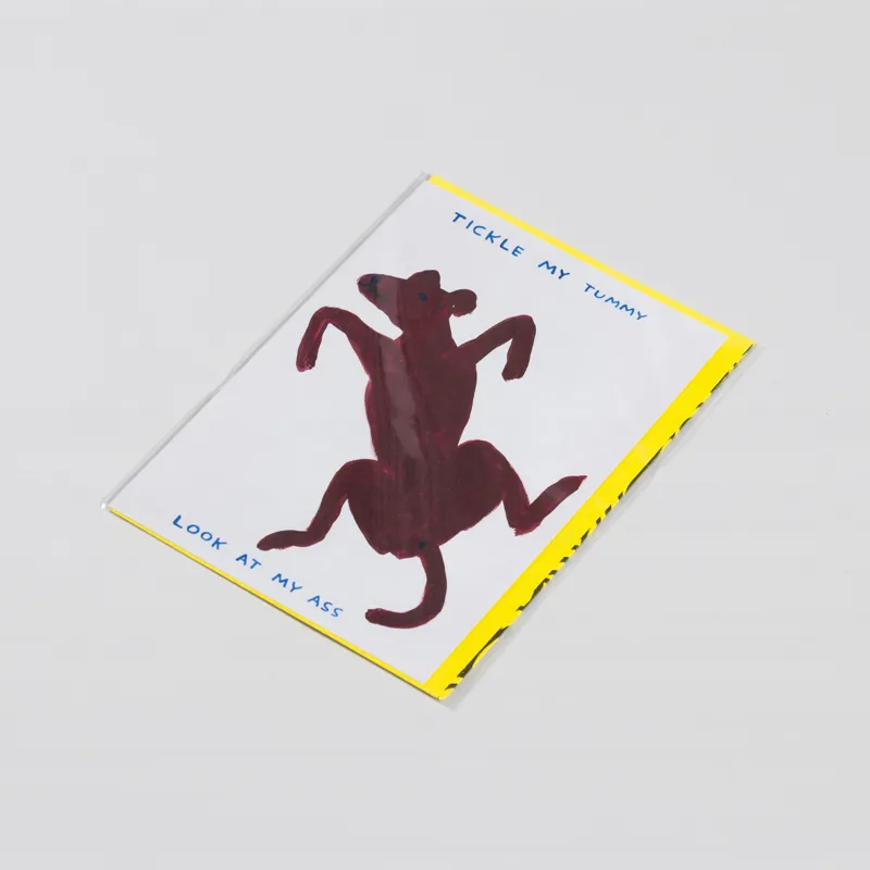 David Shrigley Tickle My Tummy Card