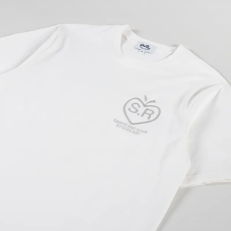 Stan Ray Grown T Shirt Natural-1