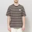 Stan Ray Stripe T Shirt Raven Eucalyptus