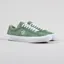 Vans Saddle Sid Pro Shoes Hedge Green