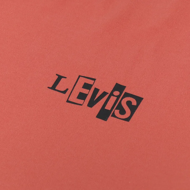 Levi's Skateboarding Skate Graphic Boxy T Shirt Burnt Sienna-2